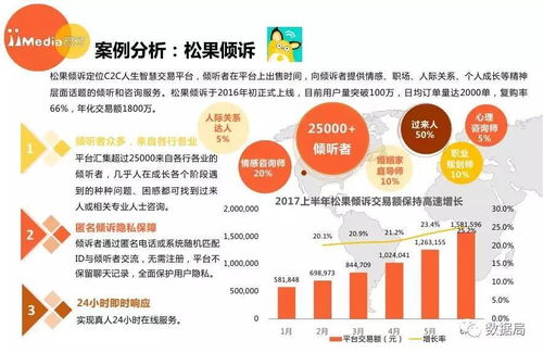 艾媒咨詢《2017上半年中國(guó)精神類(lèi)服務(wù)電商市場(chǎng)研究報(bào)告》解析 社會(huì)經(jīng)濟(jì)咨詢服務(wù)新業(yè)態(tài)的興起
